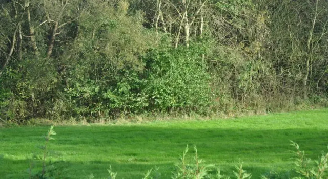 Taliesin, Prenota Hotel Meise Groene Gordel