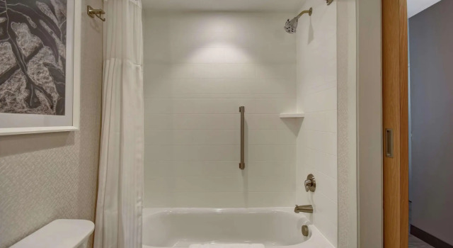 Двухместный номер Standard Hilton Garden Inn Jackson