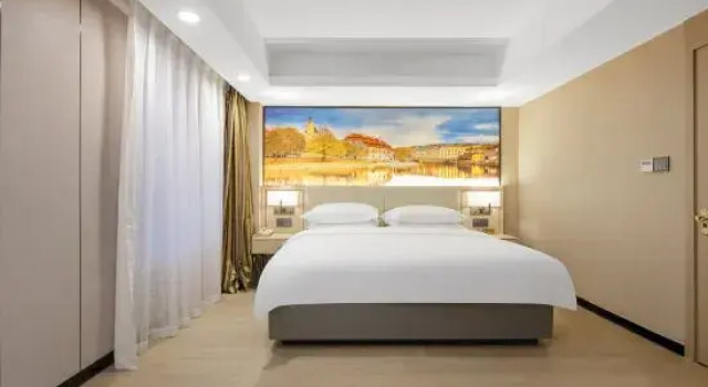 Люкс Business Vienna International Hotel (Jinan High-tech Wanda Plaza Branch)