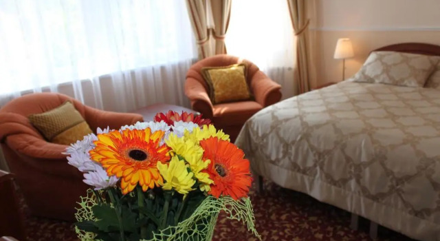 Двухместный номер Standard Spa Hotel Purkyně