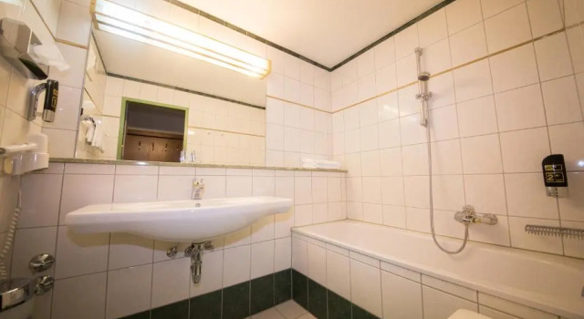 Двухместный номер Standard Hotel Herold
