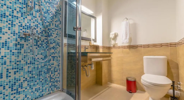 Трёхместный номер Standard Kopala Tskneti Hotel