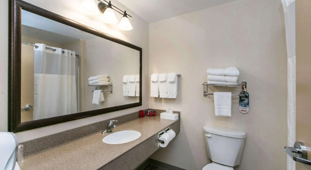 Двухместный люкс SureStay Plus by Best Western Elizabethtown Lancaster