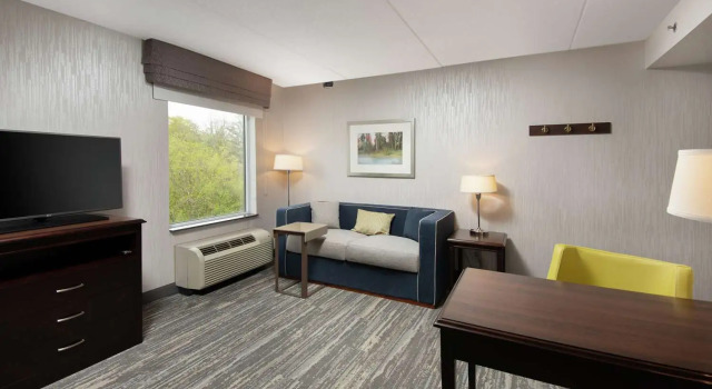 Двухместный люкс Hampton Inn & Suites by Hilton Barrie