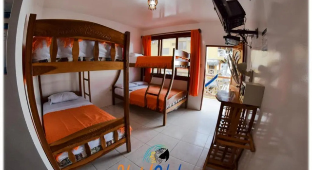 Семейный номер Standard Hostal Pakaloro
