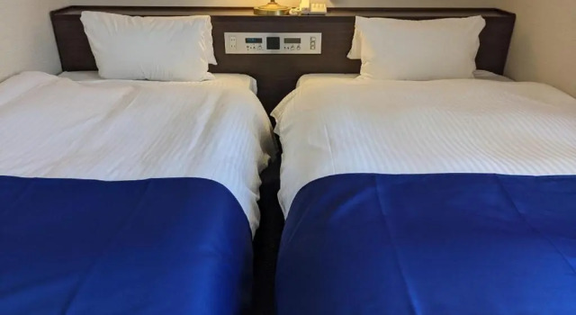 Двухместный номер Economy Ichinomiya City Hotel