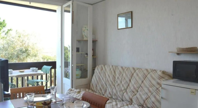 Appartement Argelès-sur-Mer, 2 pièces, 4 personnes - FR-1-225-480