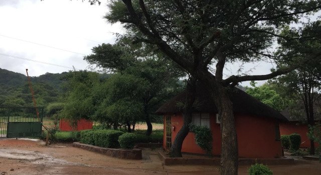 Номер Standard Kgogomodumo Lodge