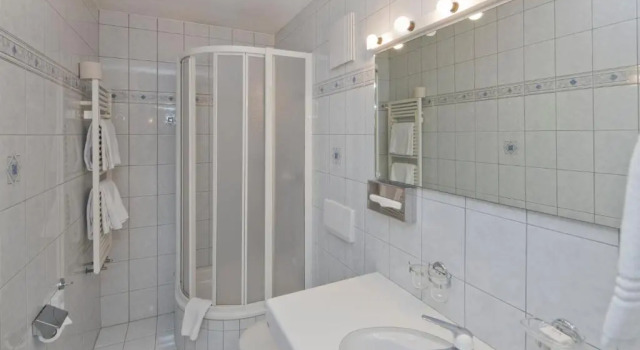 Одноместный номер Hotel Europe Brig