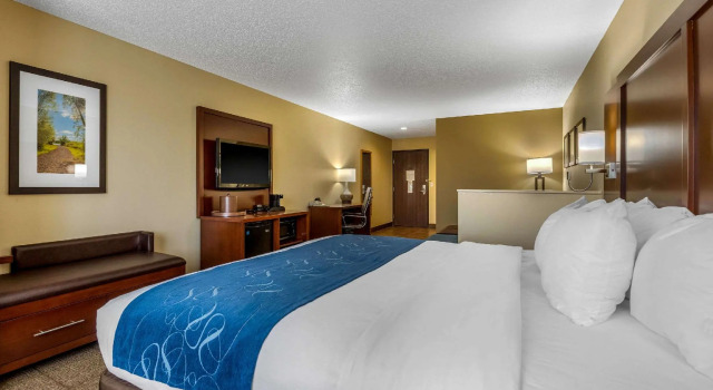 Люкс c 1 комнатой Comfort Suites Cedar Falls Industrial Park
