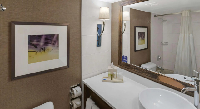 Двухместный номер Standard Hilton Harrisburg near Hershey Park