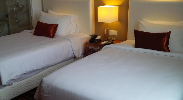Двухместный номер Deluxe Royal Asnof Hotel Pekanbaru