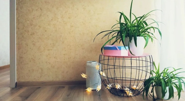 Апартаменты MalinaApt Pink Olive, Забронировать Апартаменты/квартира Апартаменты Днепровского, Апартаменты/квартира