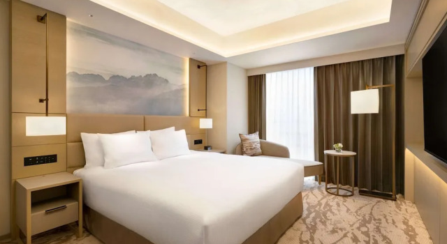 Двухместный люкс Deluxe DoubleTree by Hilton Toyama