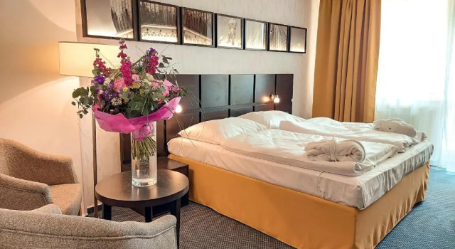 Двухместный номер Standard Wellness Hotel Frymburk