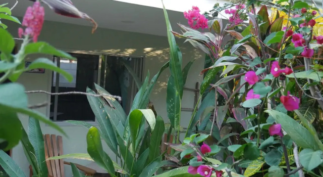 Вилла Premium Cote Pacific Casitas