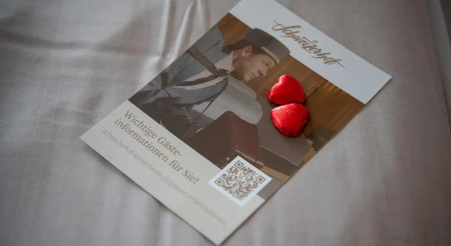 Одноместный номер Deluxe Schweizerhof
