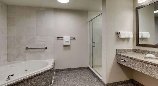 Номер Deluxe Drury Inn & Suites Charlotte Northlake