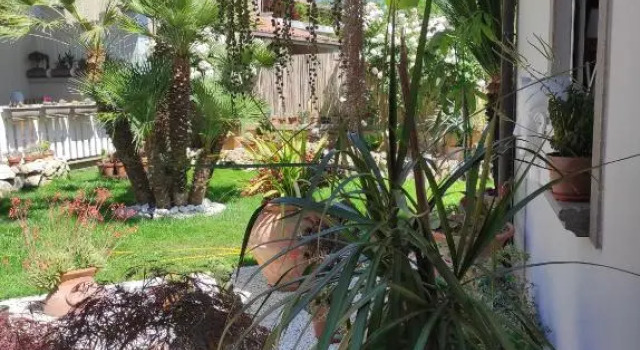 Cactus house