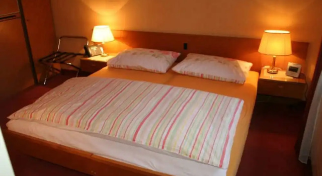 Двухместный номер Standard с видом на озеро Hotel Du Quai