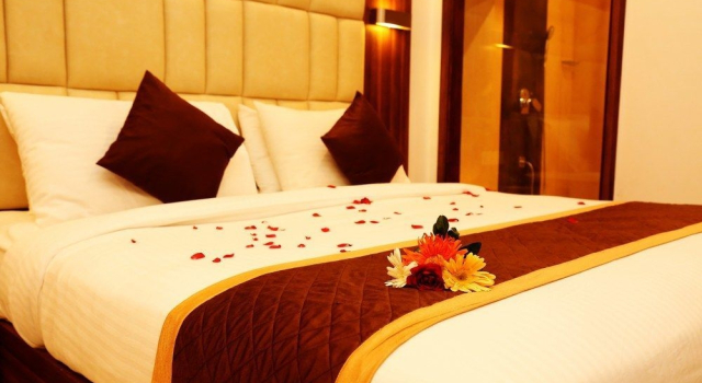 Номер Deluxe Shree Ram International