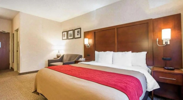Люкс Comfort Inn North - Air Force Academy Area