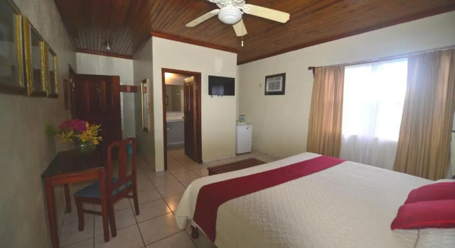Трёхместный номер Standard с красивым видом из окна Seagrape Plantation Resort & Dive Center