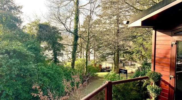 Tree House, Partial Lake Views Pet Friendly