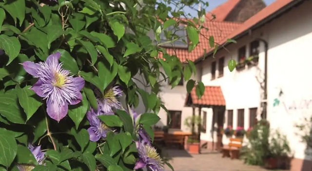 Pension Gästehaus Kachelofa, Réserver Maison d'hôtes Vaihingen-sur-l'Enz 