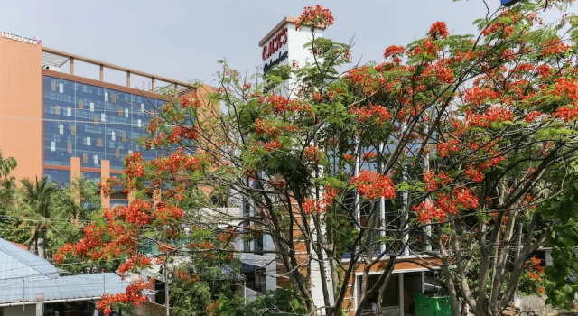 Treebo Trend CMKs Gulmohar Suites