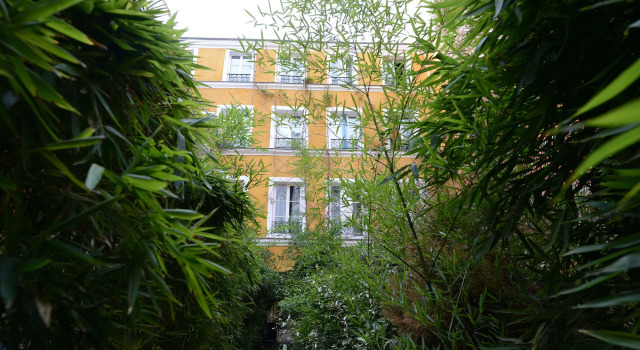 Les Patios du Marais