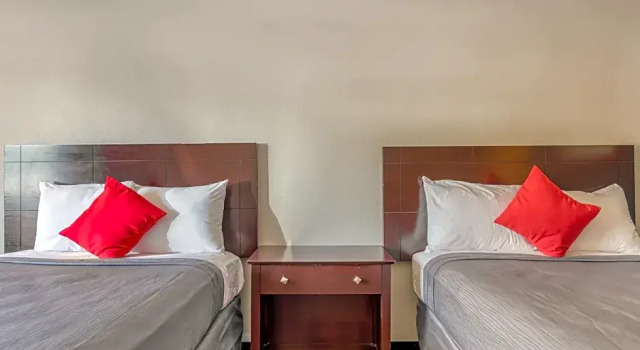 Четырёхместный номер Standard Hotel Pinellas Park - St. Petersburg North US-19