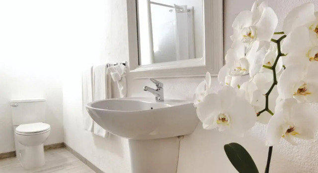 Четырёхместный номер Standard Los Milagros Hotel
