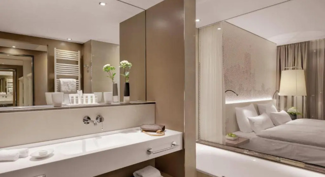 Двухместный номер Deluxe Hotel Stadt Lörrach