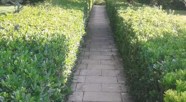B&B San Lorenzo Resort, Rezerwuj Bed and Breakfast Cerignola Apulia