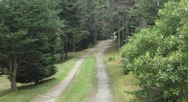 Frenchboro Point House - Four Bedroom Home, Buchen Sie Hotel Mount Desert 