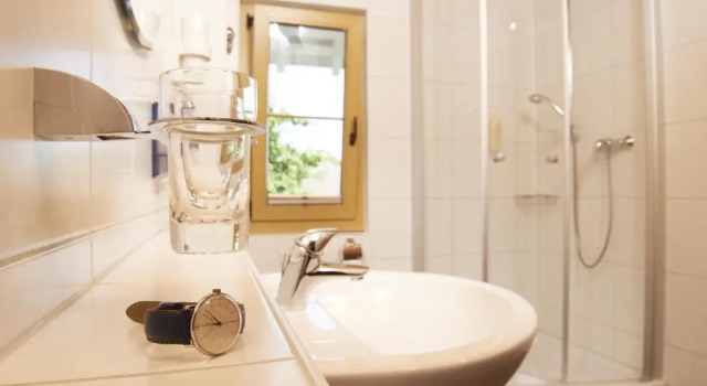 Двухместный номер Standard Landhotel Haringerhof mit Saunawelt und Naturbadeteich