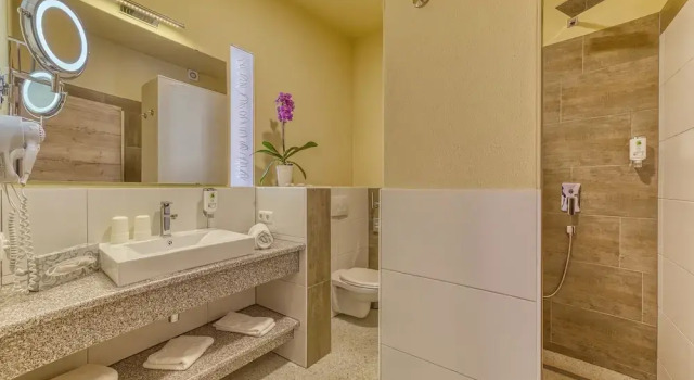 Двухместный номер Superior Wellnesshotel Auszeit