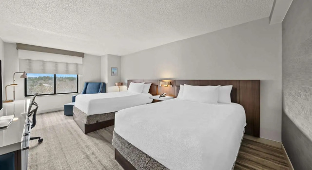 Четырёхместный номер Standard Hilton Garden Inn Plymouth
