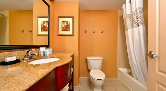 Люкс c 1 комнатой Hampton Inn and Suites Fredericksburg South
