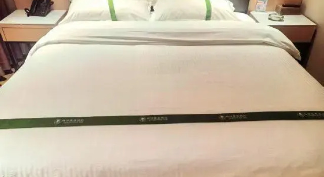 Люкс GreenTree Inn Express Hotel (Hefeinan Railway Station Gongjing College Subway Station)
