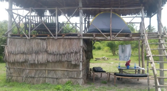 Номер Standard Mida Creek Nature Camp