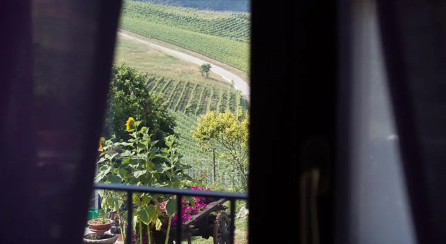Двухместный номер Standard с балконом Agriturismo La Cà Veja
