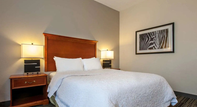 Номер Standard Hampton Inn Bowling Green KY