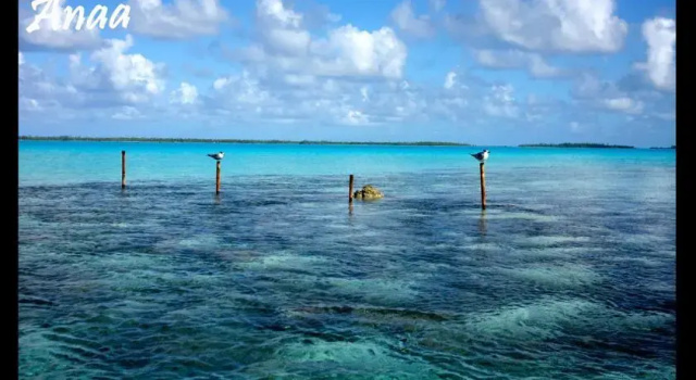 FLY FISHING ANAA TOKU KAIGA, Reserva ahora Hotel Anaa Polinesia Francesa