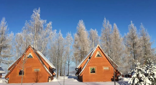 Шале Czocha Palace&Czocha Camping - OR Czocha