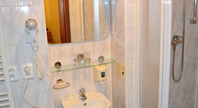 Одноместный номер Hotel Palacky
