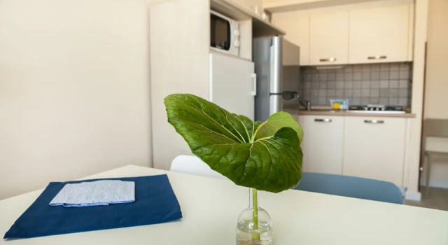 Apartment Residence La Palma