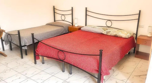 Номер Standard Hippocampus B&B