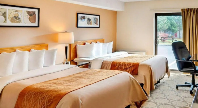Camera quadrupla Standard seminterrato Comfort Inn